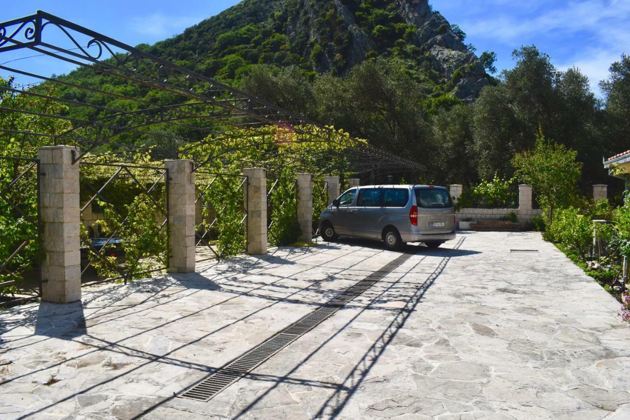 Petrovac Villa Dolphin Apartments מראה חיצוני תמונה