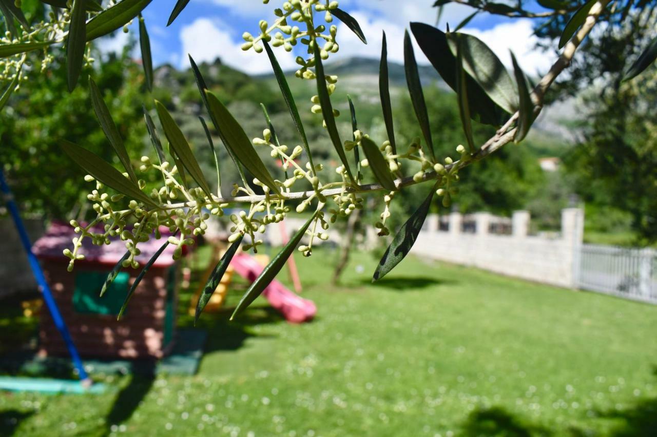 Petrovac Villa Dolphin Apartments מראה חיצוני תמונה